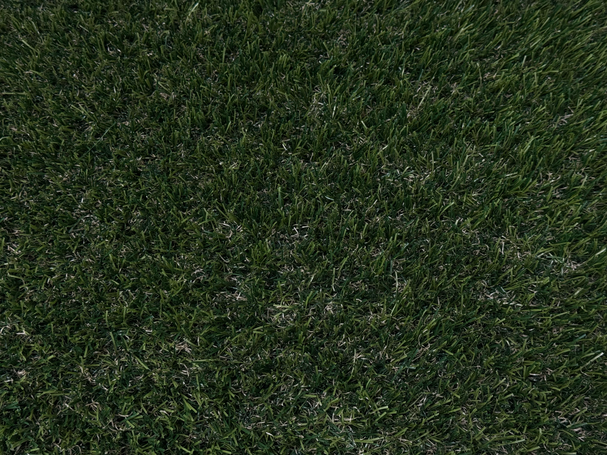 Gazon artificiel Cruz - Trylawn par SynX